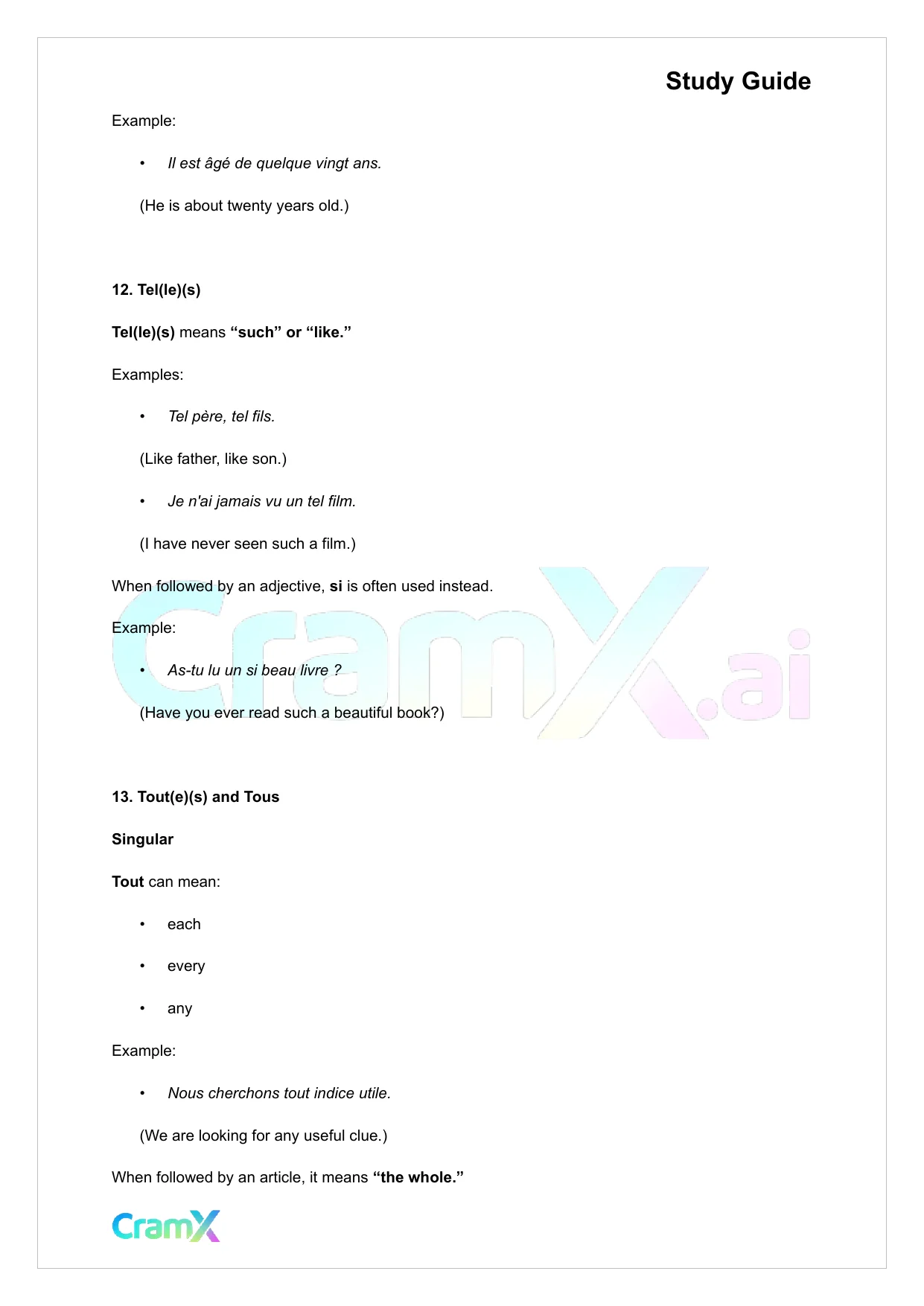 French II – Indefinites Passive Voice - Page 8 preview image