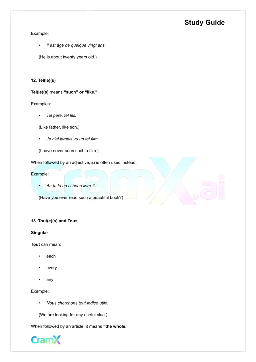 French II – Indefinites Passive Voice, page 8