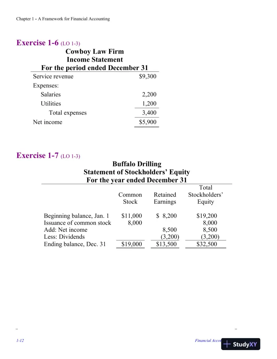 Solution Manual for Financial Accounting, 5th Edition, page 13