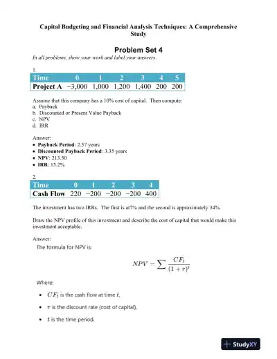 Capital Budgeting and Financial Analysis Techniques: A Comprehensive Study - Page 1 preview image