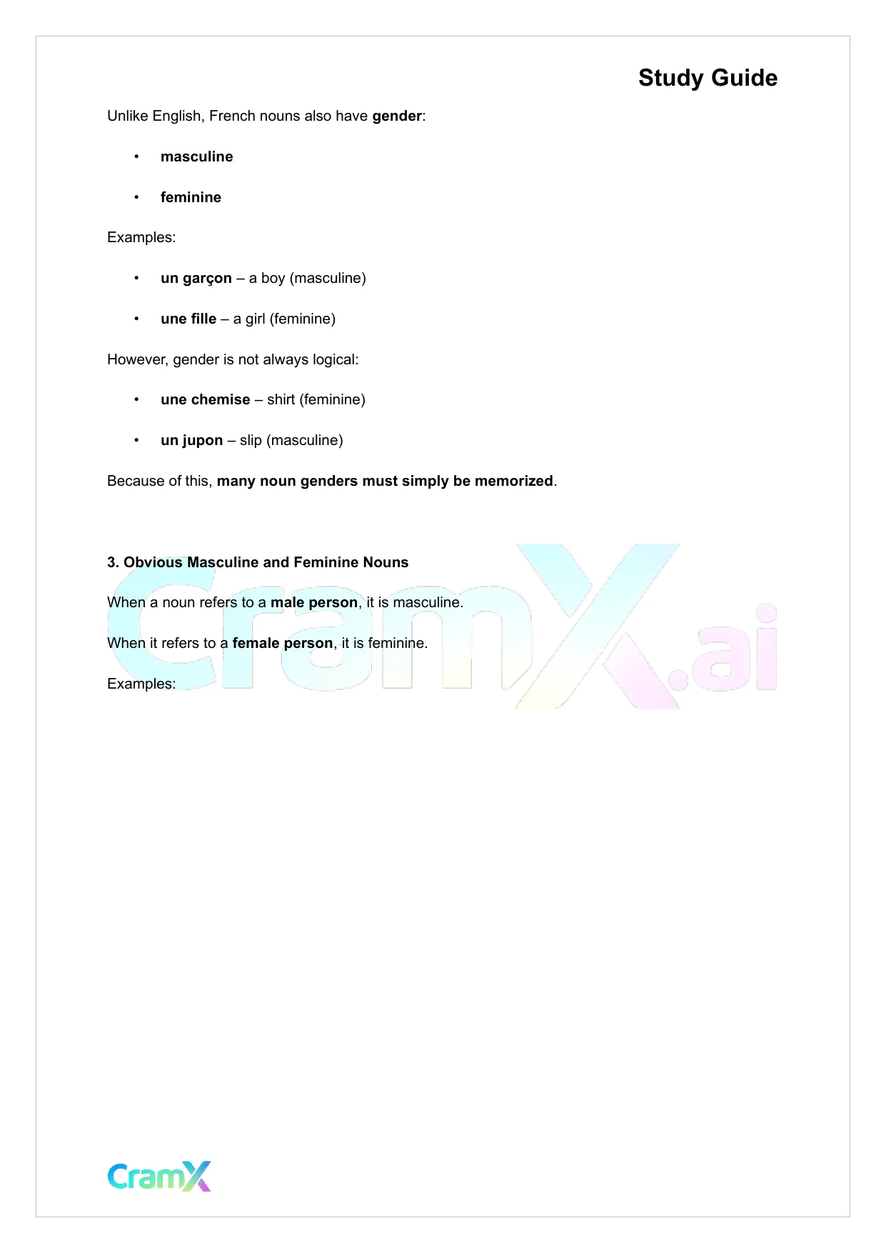 French I - Nouns - Page 2 preview image