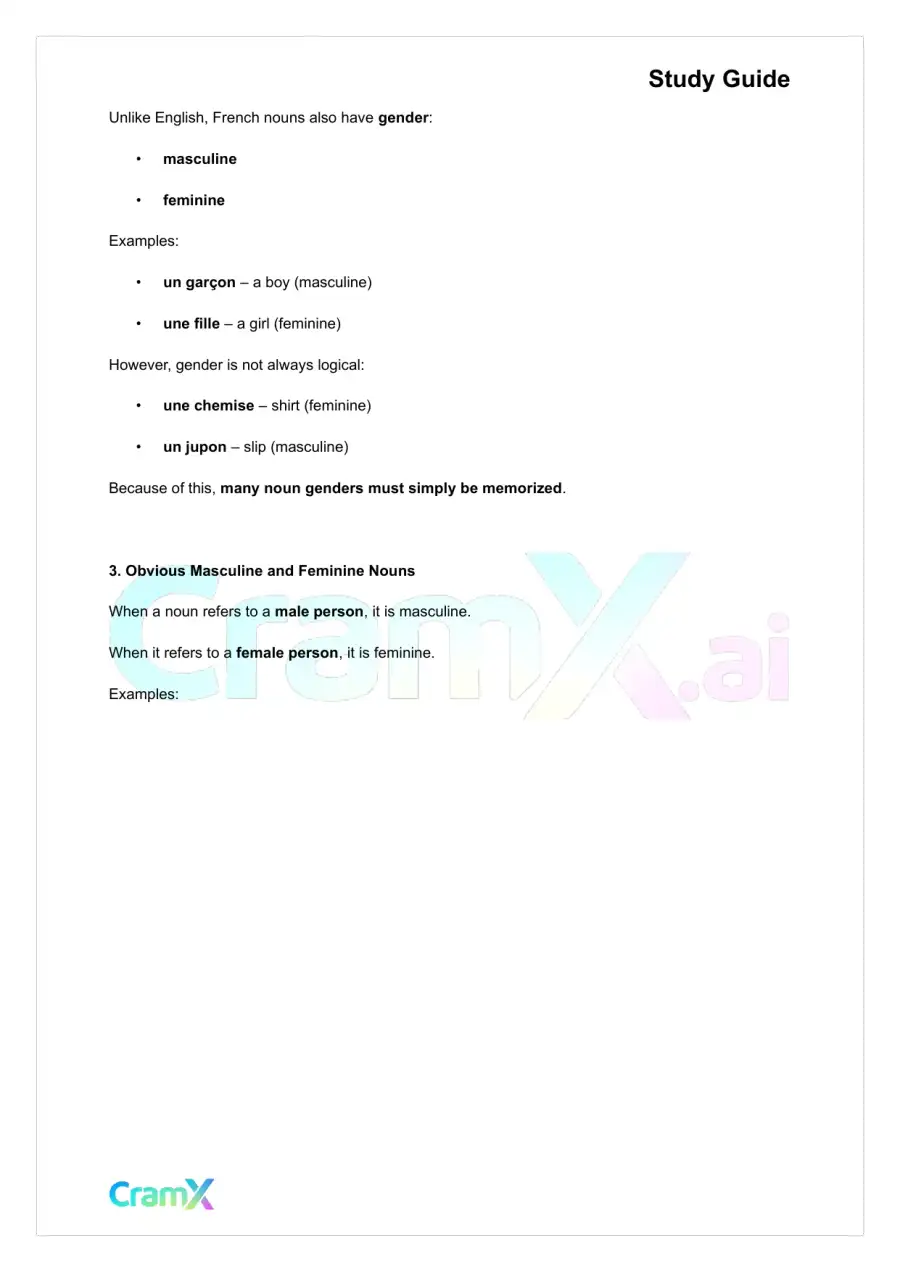French I - Nouns, page 2