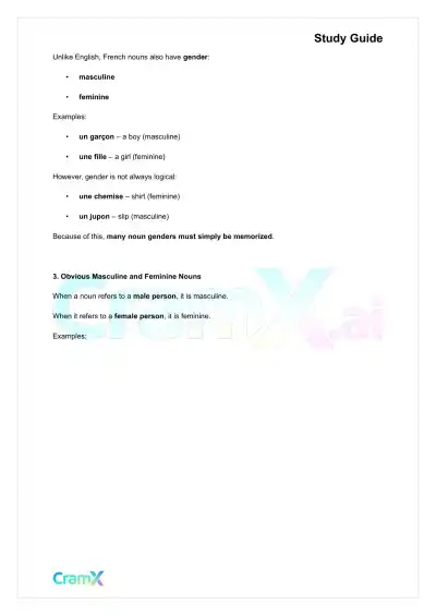 French I - Nouns - Page 2 preview image