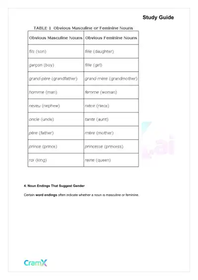 French I - Nouns - Page 3 preview image