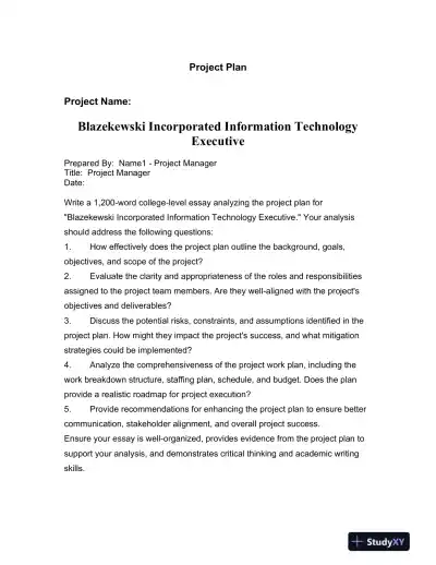 Blazekewski Incorporated Information Technology Executive - Page 1 preview image