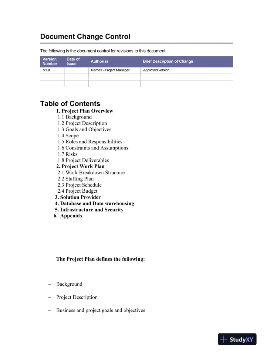 Blazekewski Incorporated Information Technology Executive, page 4