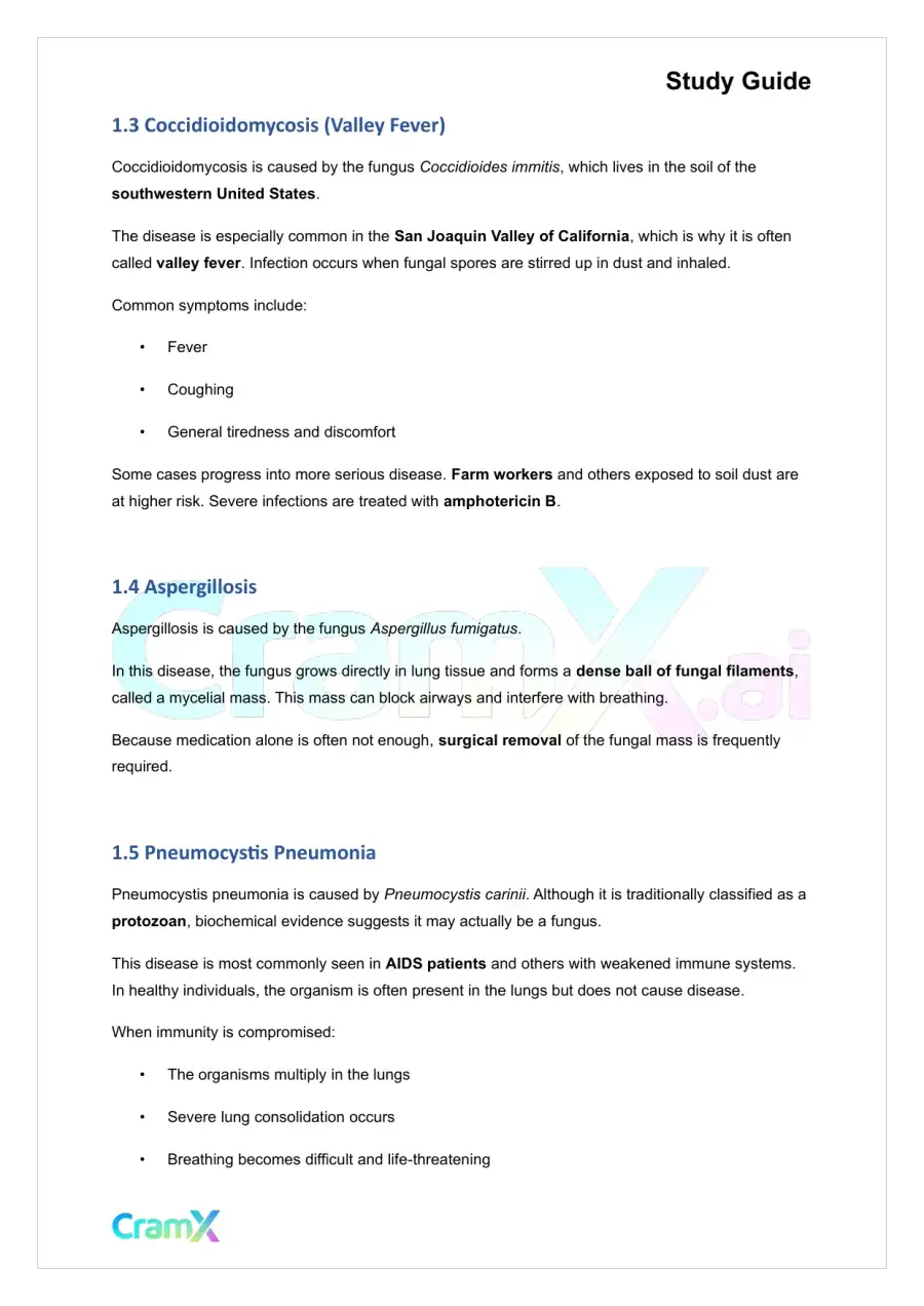 Microbiology - Diseases of the Respiratory System, page 2