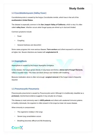 Microbiology - Diseases of the Respiratory System - Page 2 preview image