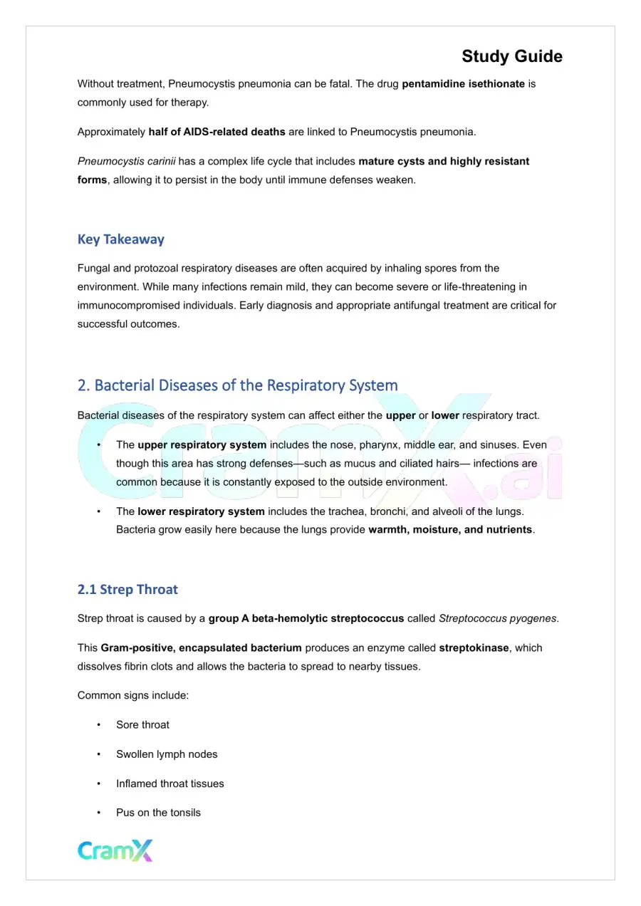 Microbiology - Diseases of the Respiratory System, page 3