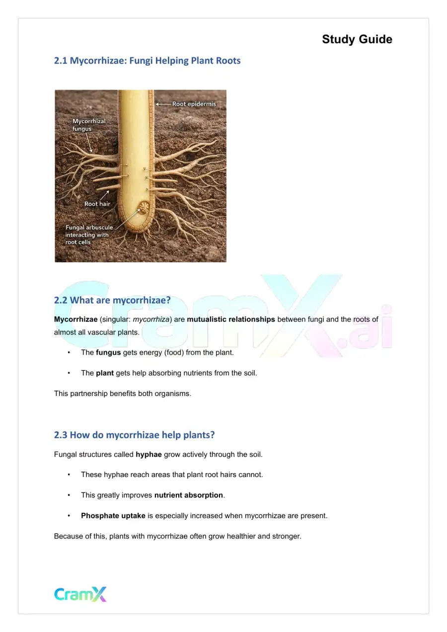 Plant Biology - Fungi Not Plants, page 3