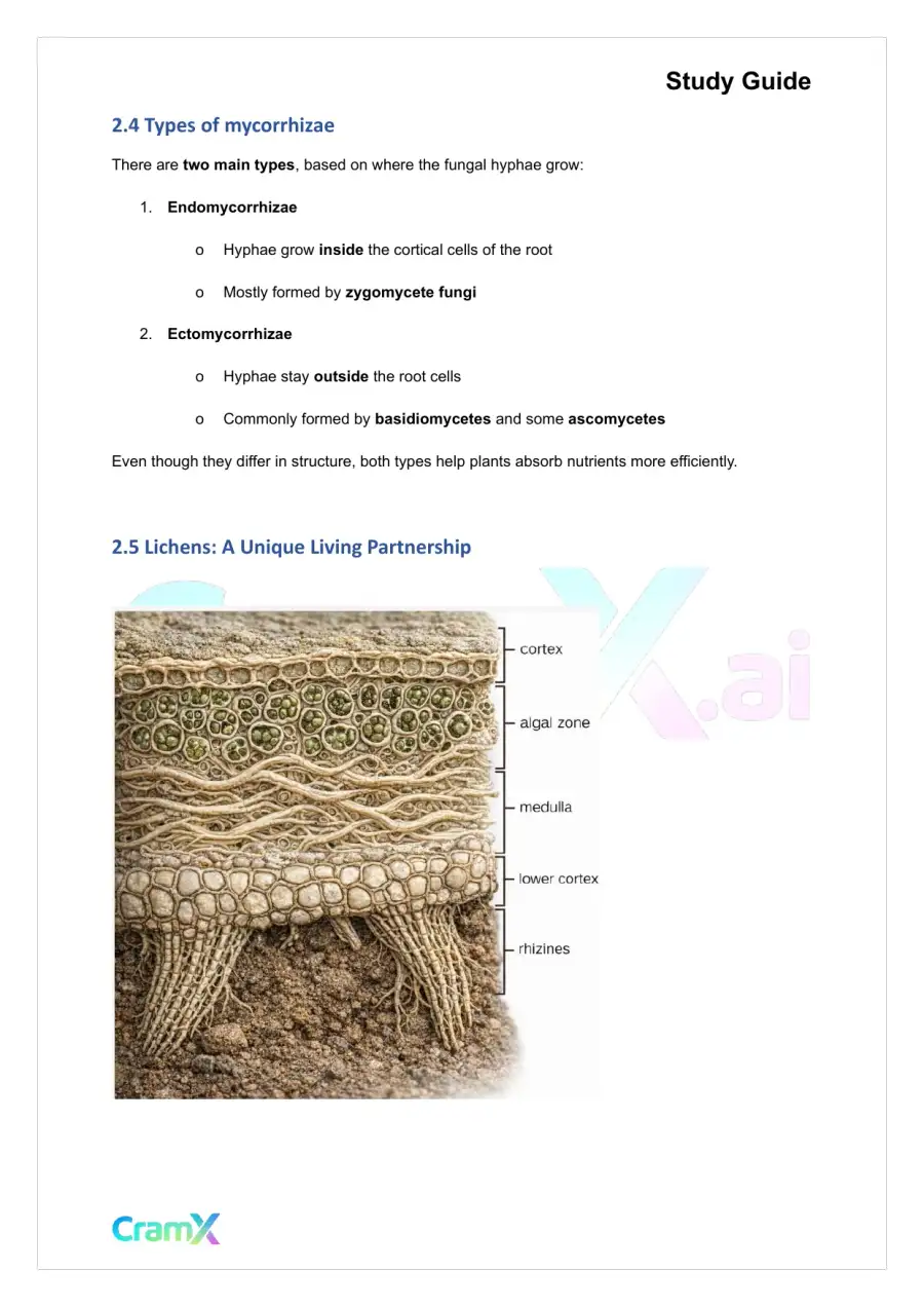 Plant Biology - Fungi Not Plants, page 4