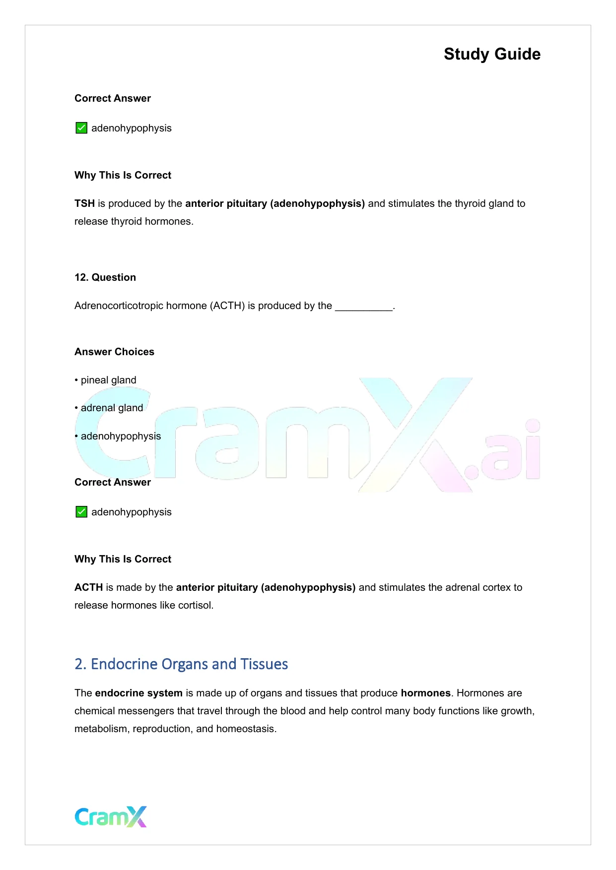 Anatomy and Physiology - The Endocrine System - Page 7 preview image