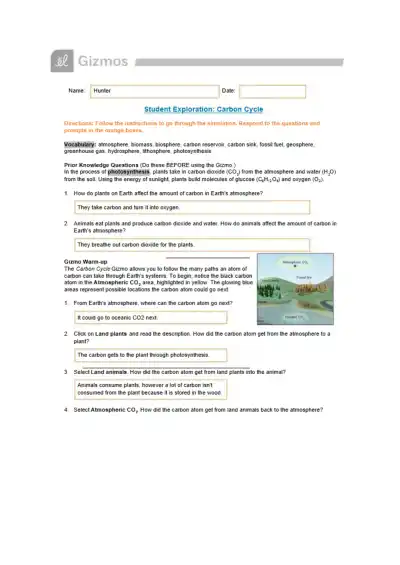 Hunter McCarty Carbon Cycle Gizmo 2021 Bio - Page 1 preview image