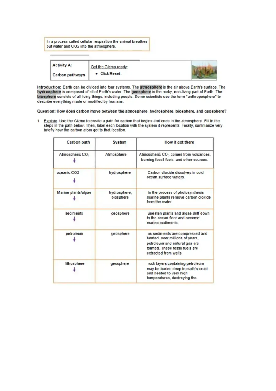 Hunter McCarty Carbon Cycle Gizmo 2021 Bio, page 2