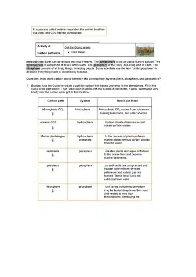 Hunter McCarty Carbon Cycle Gizmo 2021 Bio - Page 2 preview image