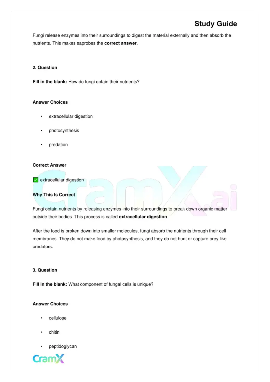 Biology - Fungi, page 4