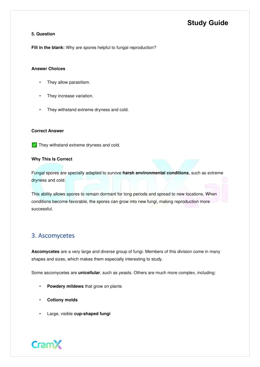 Biology - Fungi, page 6