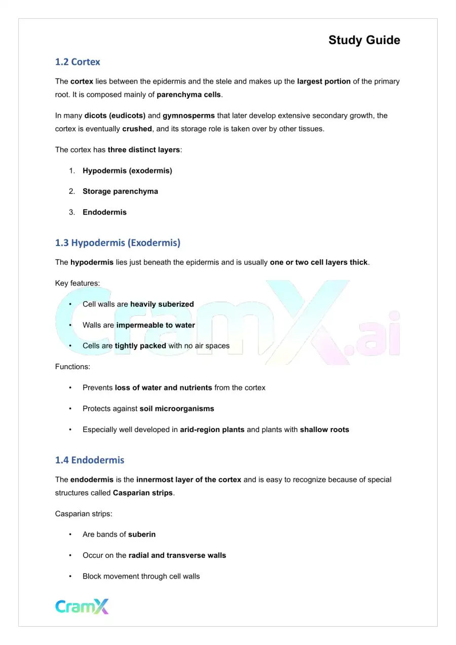 Plant Biology - Roots, page 2
