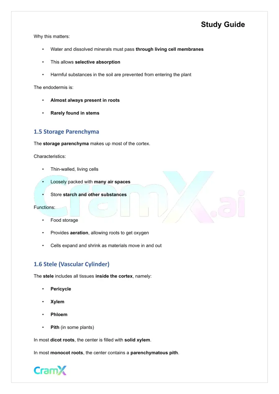 Plant Biology - Roots, page 3