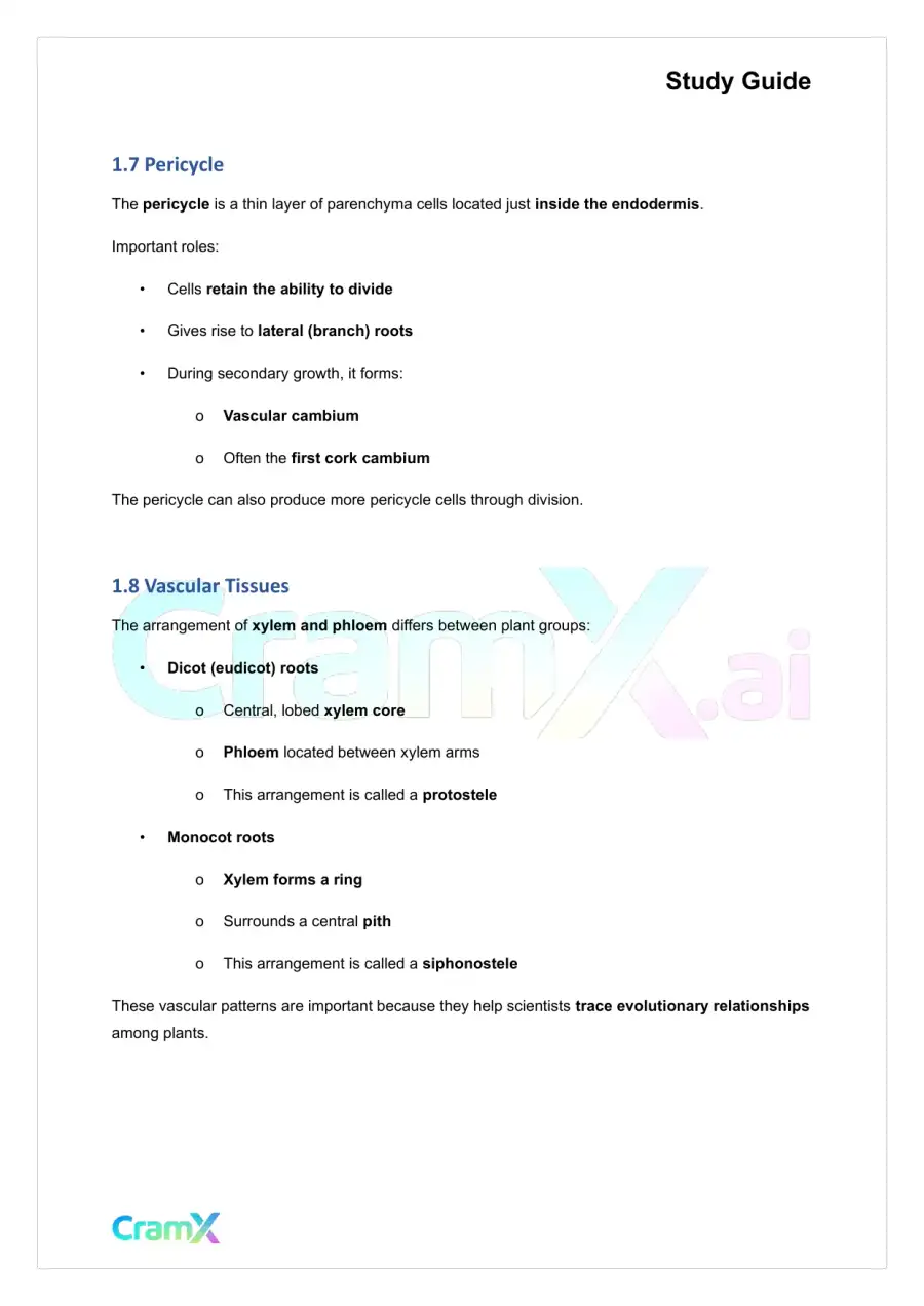 Plant Biology - Roots, page 4