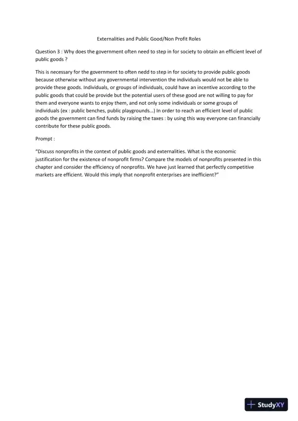 Externalities And Public Good/Non-Profit Roles - Page 1 preview image