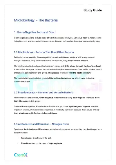 Microbiology - The Bacteria - Page 1 preview image