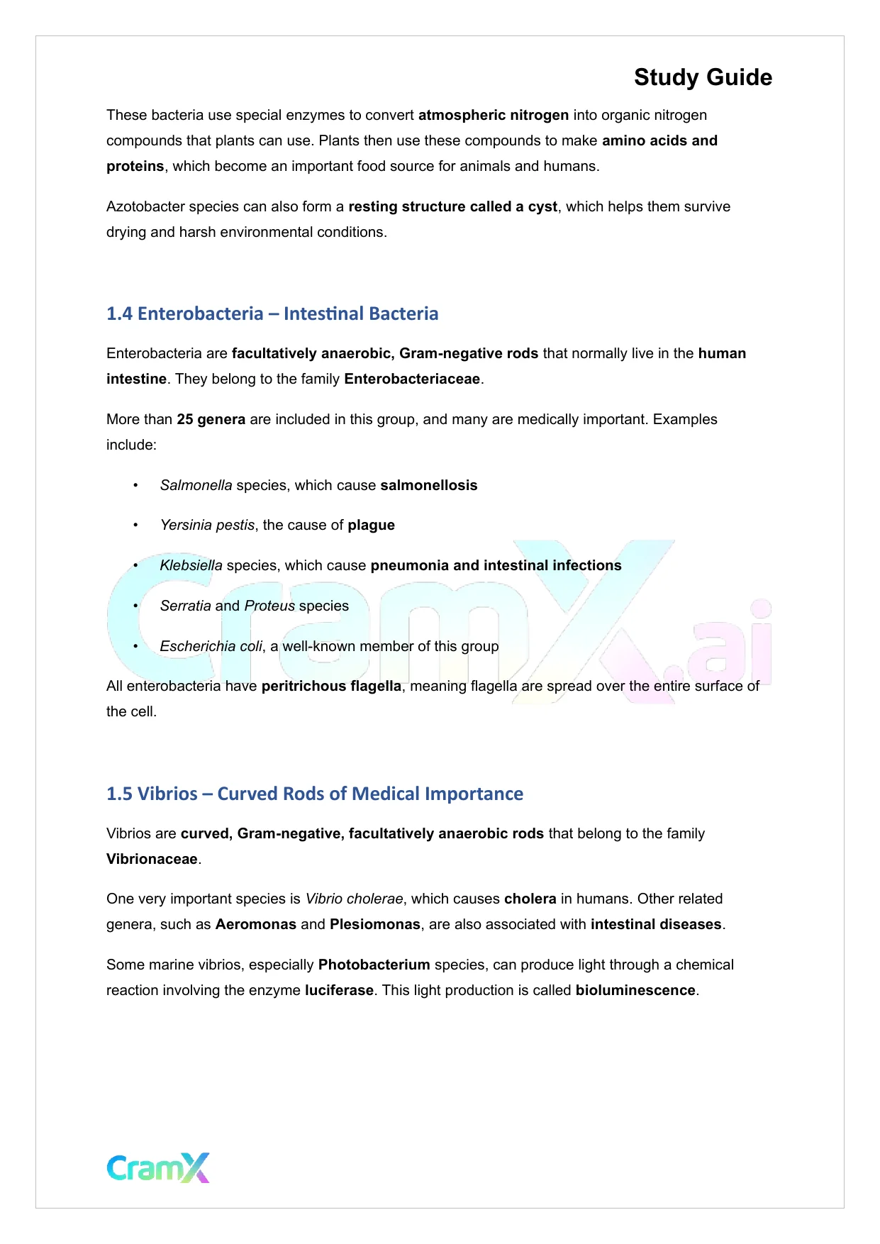 Microbiology - The Bacteria - Page 2 preview image