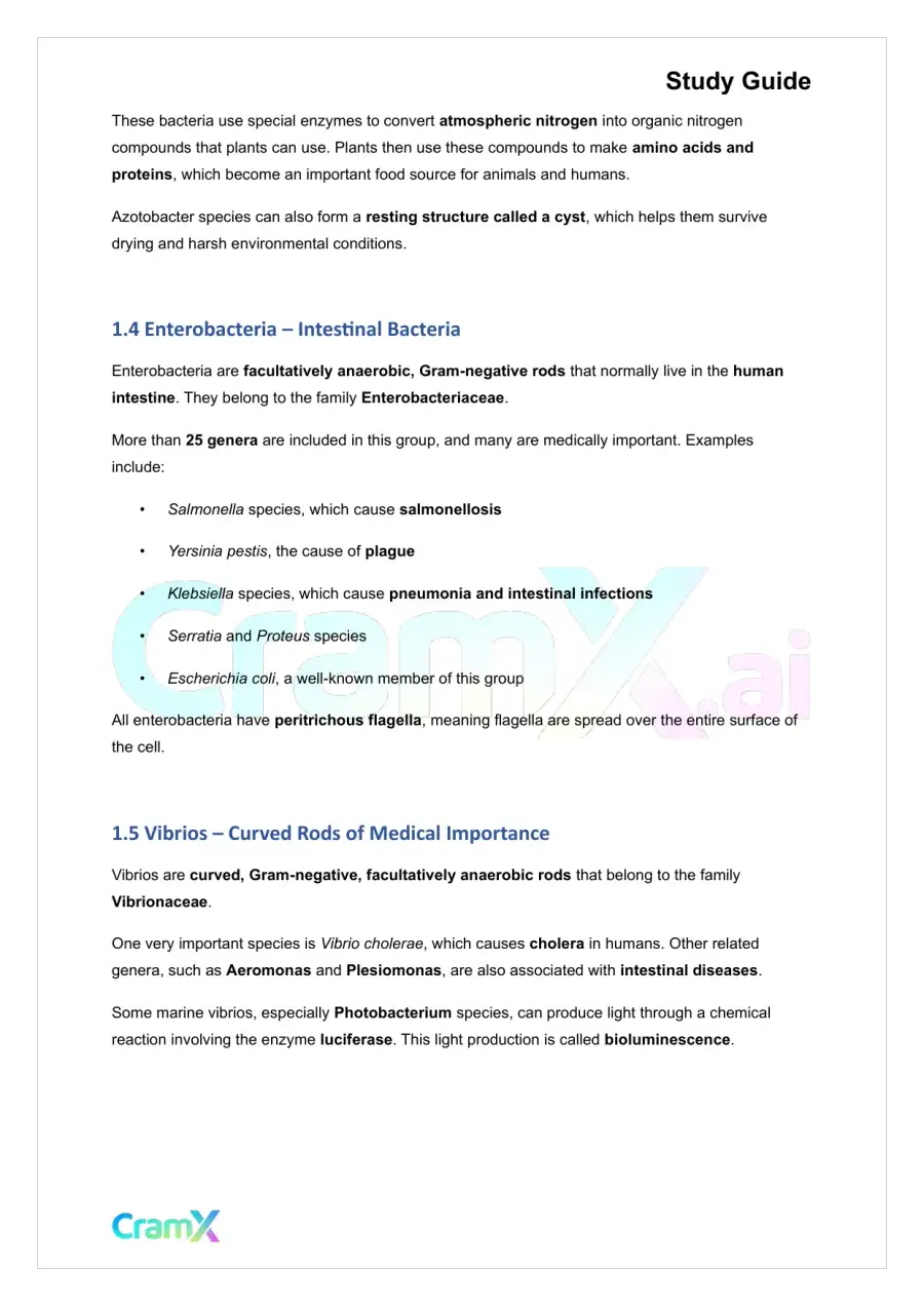 Microbiology - The Bacteria, page 2