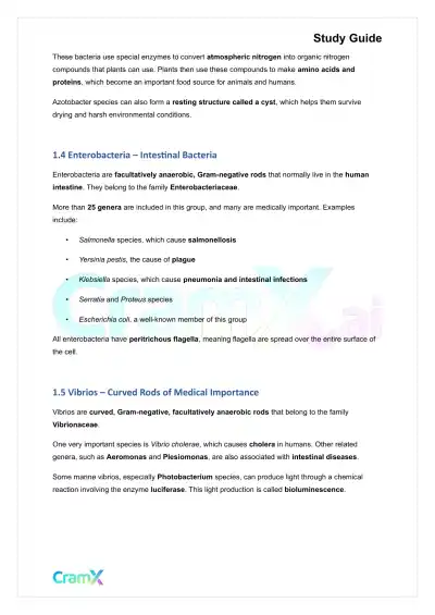 Microbiology - The Bacteria - Page 2 preview image