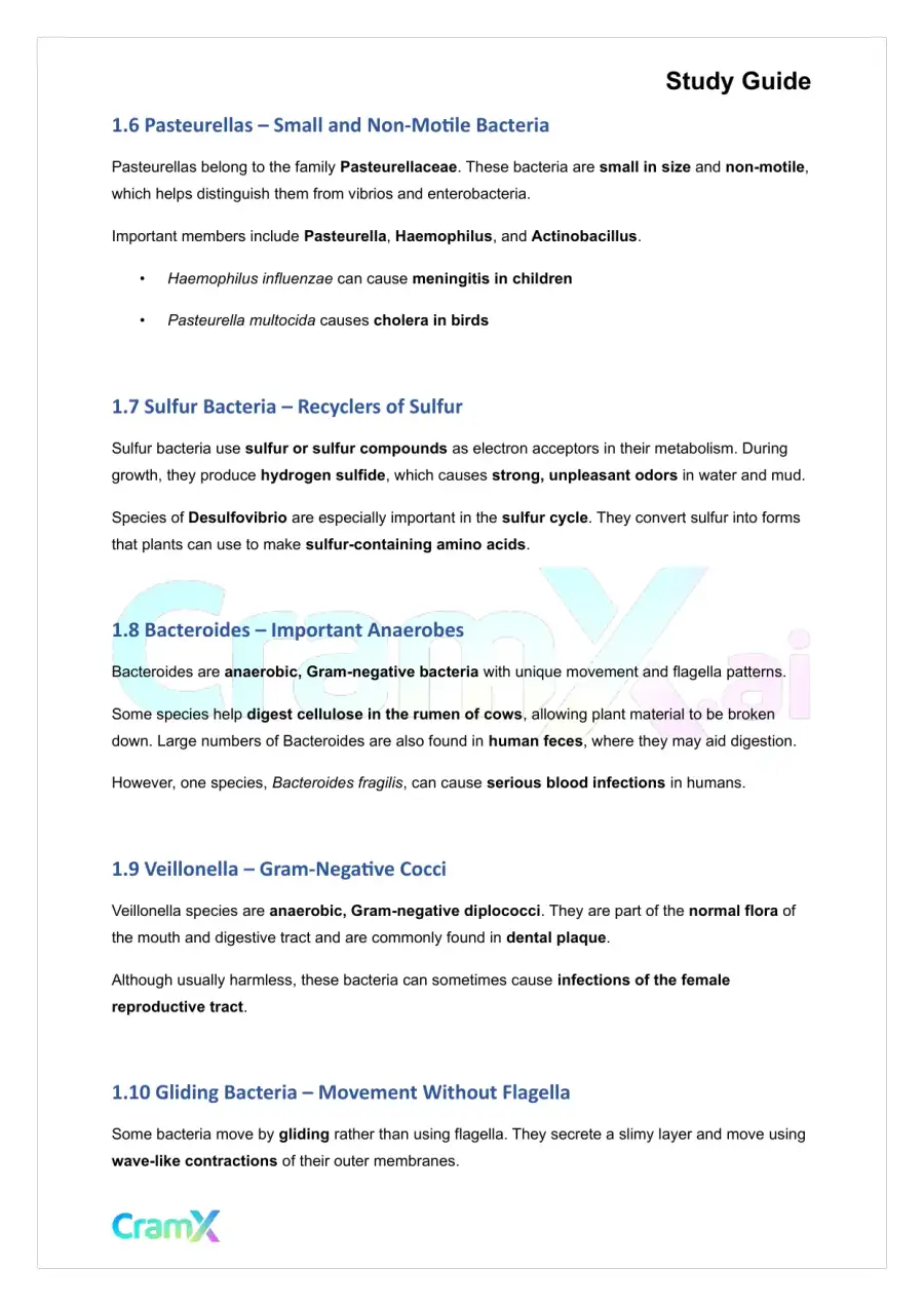 Microbiology - The Bacteria, page 3