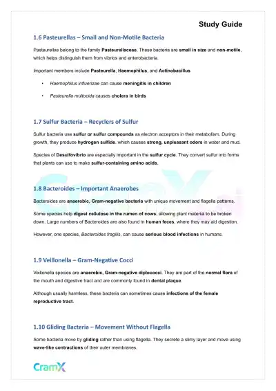 Microbiology - The Bacteria - Page 3 preview image