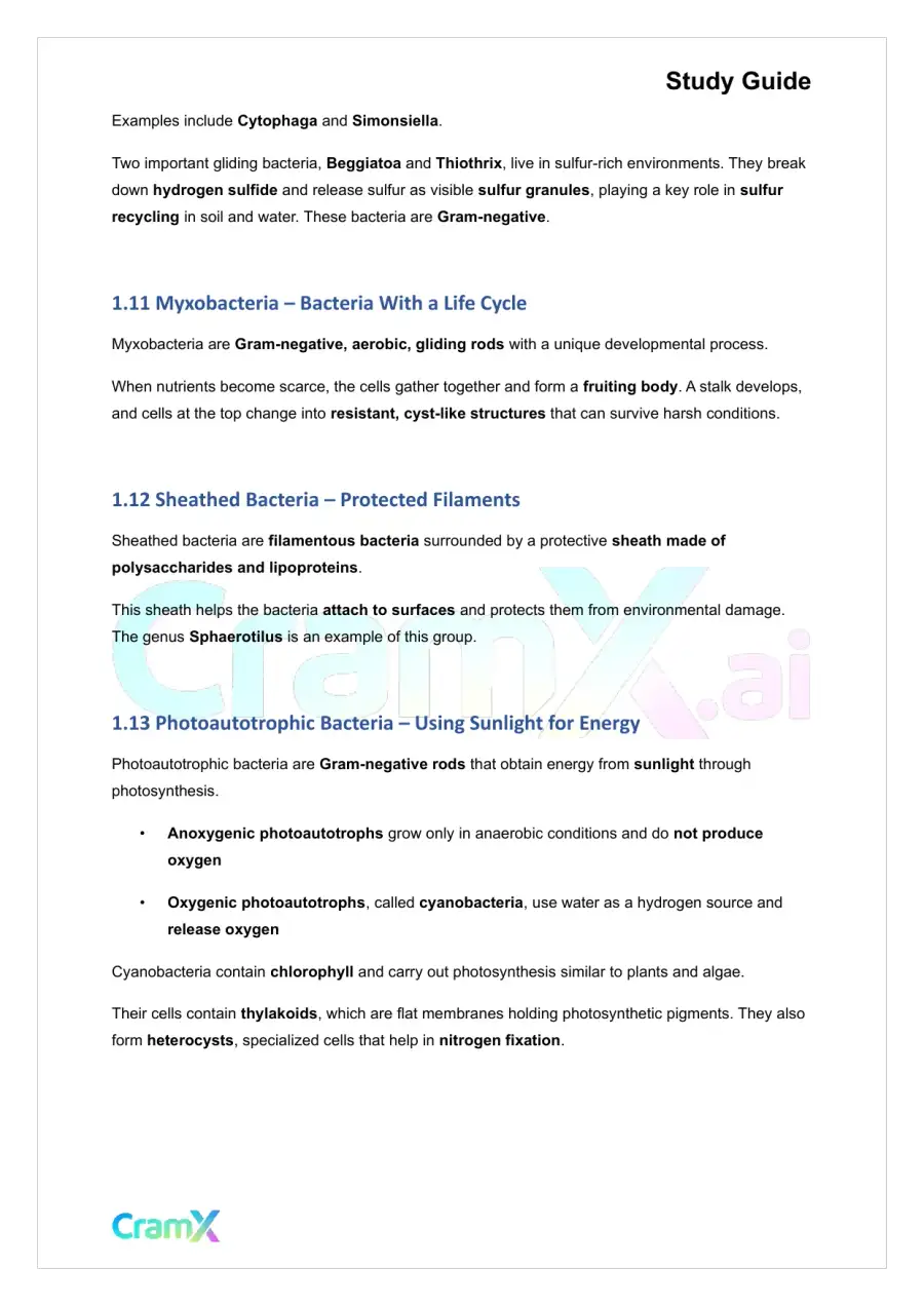Microbiology - The Bacteria, page 4