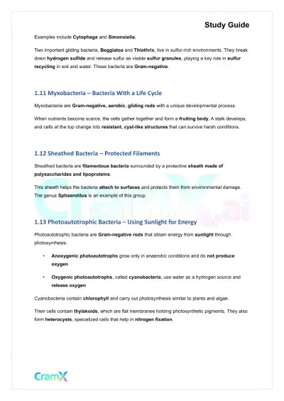 Microbiology - The Bacteria - Page 4 preview image