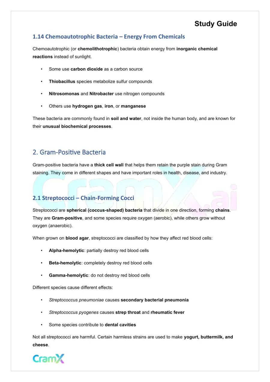Microbiology - The Bacteria, page 5
