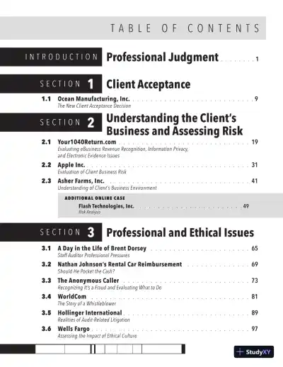 Solution Manual for Auditing Cases: An Interactive Learning Approach, 7th Edition - Page 5 preview image