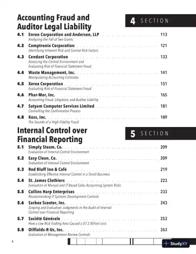 Solution Manual for Auditing Cases: An Interactive Learning Approach, 7th Edition - Page 6 preview image