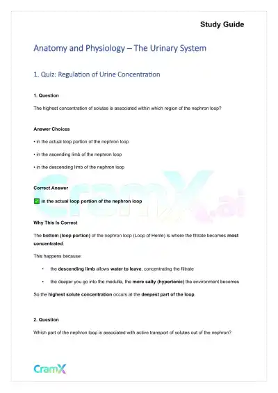 Anatomy and Physiology - The Urinary System - Page 1 preview image