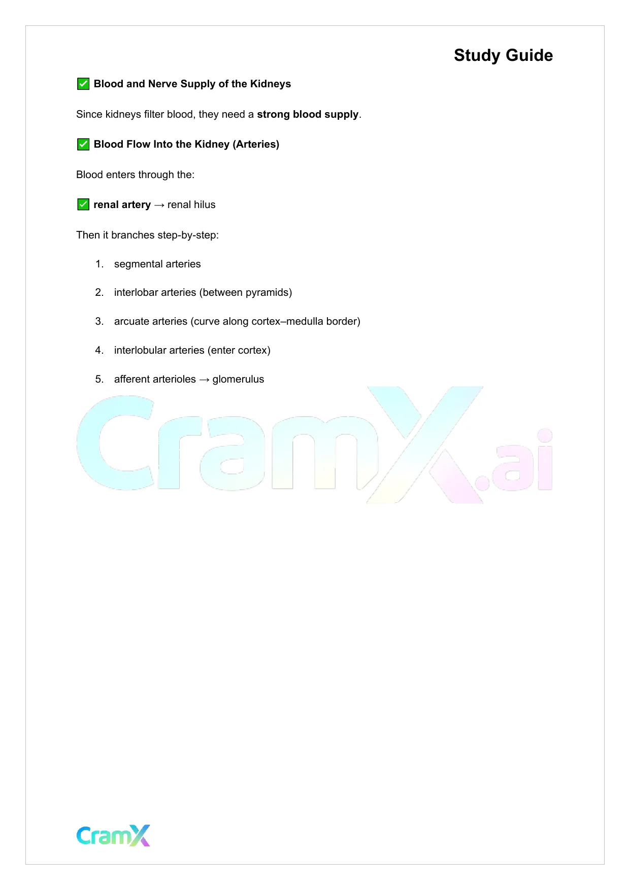 Anatomy and Physiology - The Urinary System - Page 10 preview image