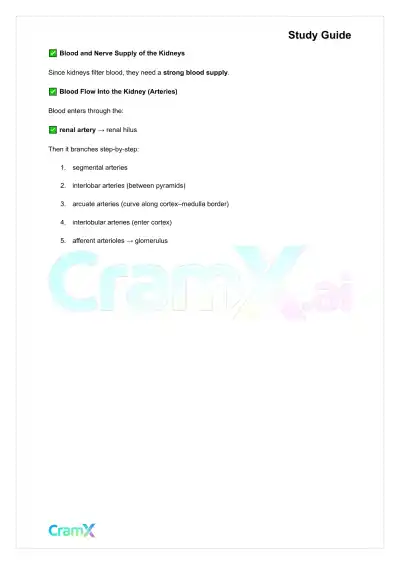 Anatomy and Physiology - The Urinary System - Page 10 preview image