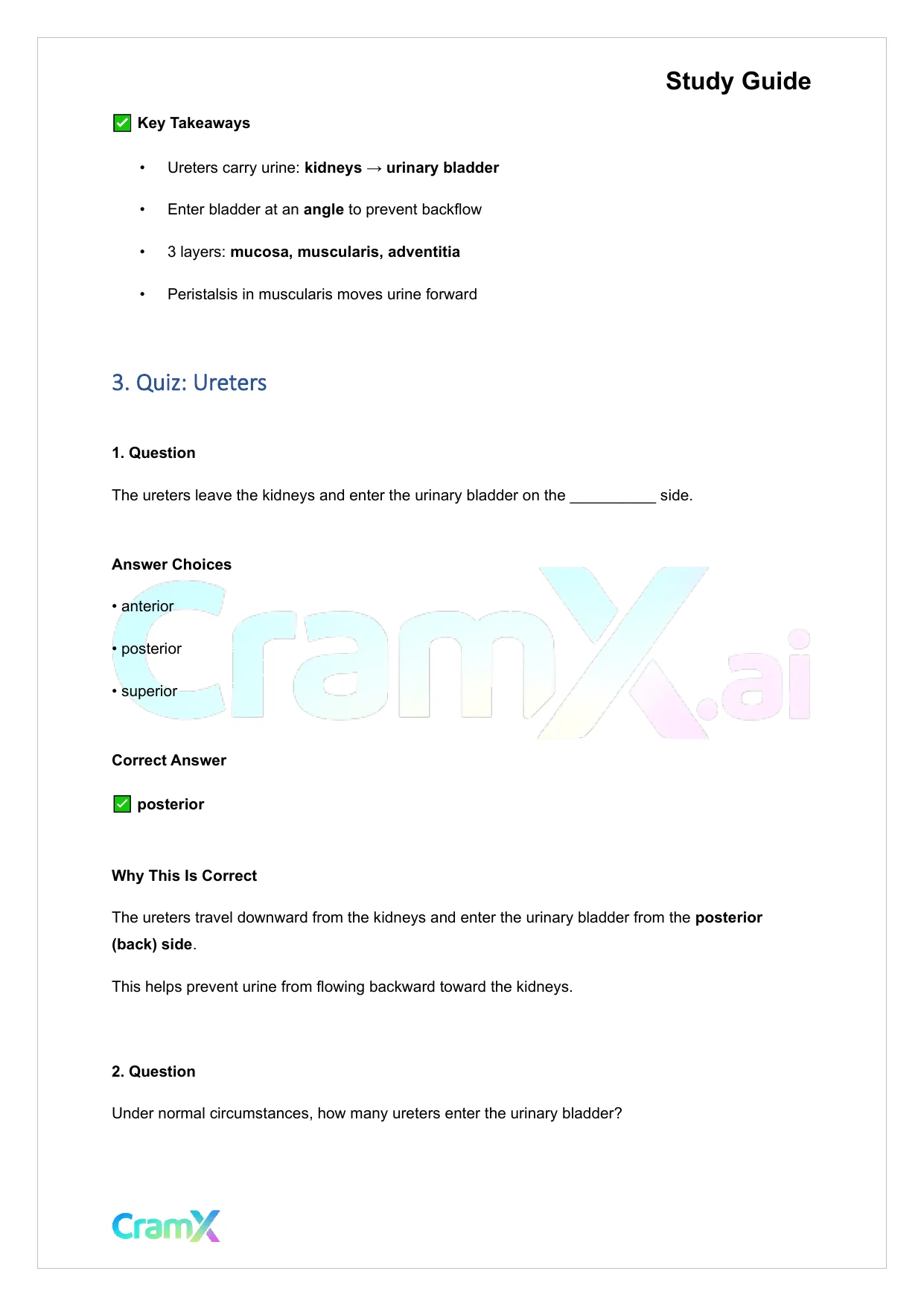 Anatomy and Physiology - The Urinary System - Page 4 preview image