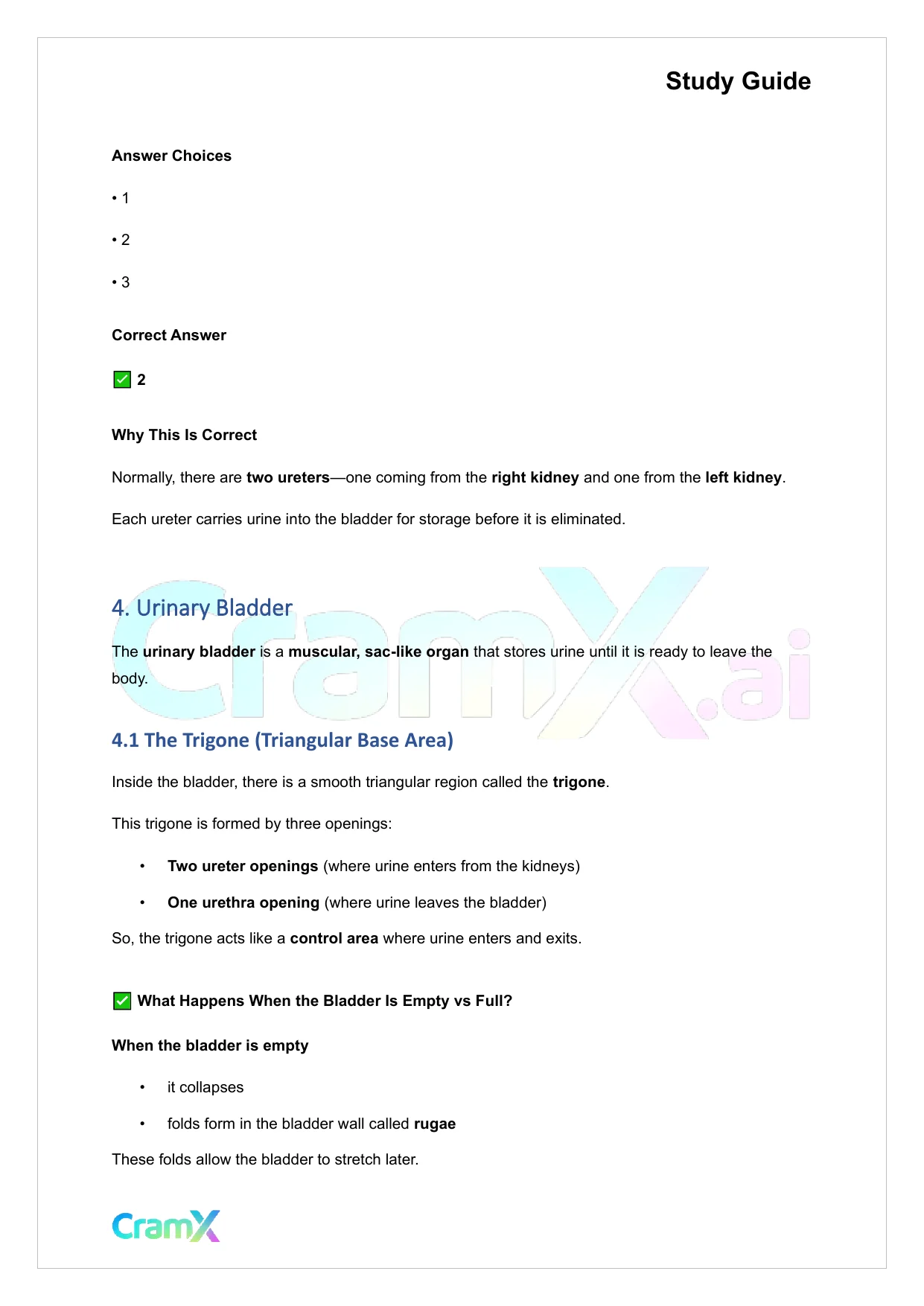 Anatomy and Physiology - The Urinary System - Page 5 preview image