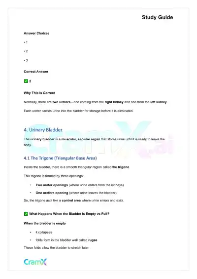 Anatomy and Physiology - The Urinary System - Page 5 preview image