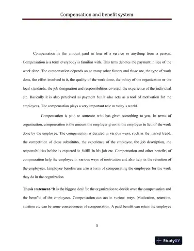 Compensation and Benefit System - Page 4 preview image