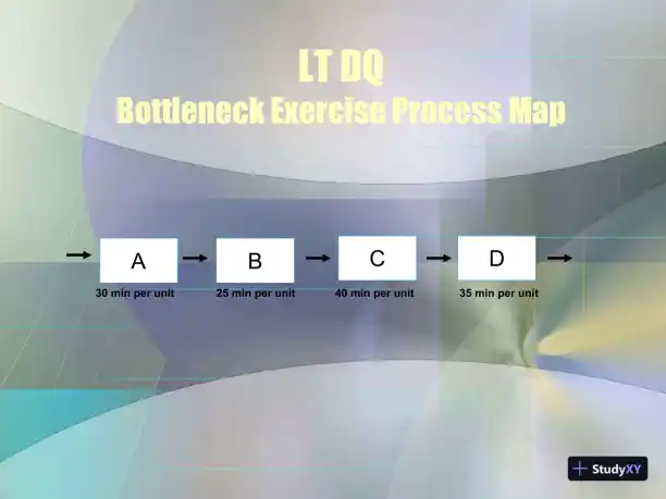 LT DQ Bottleneck Exercise Process Map - Page 1 preview image