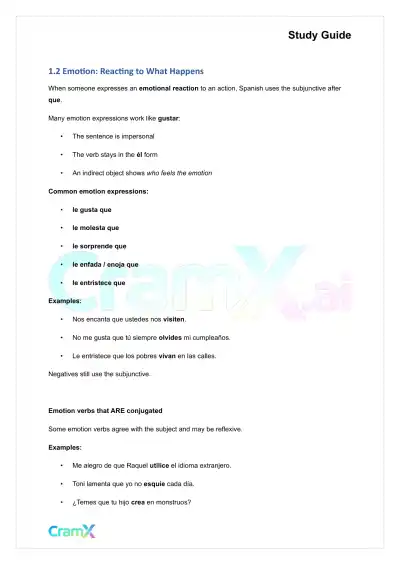 Spanish II - Subjunctive Mood II - Page 3 preview image