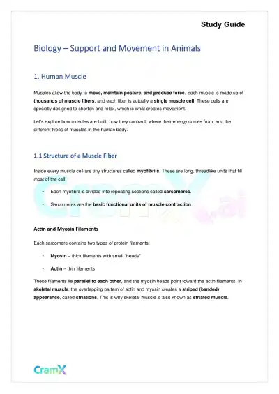 Biology - Support and Movement in Animals - Page 1 preview image