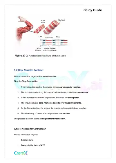 Biology - Support and Movement in Animals - Page 2 preview image
