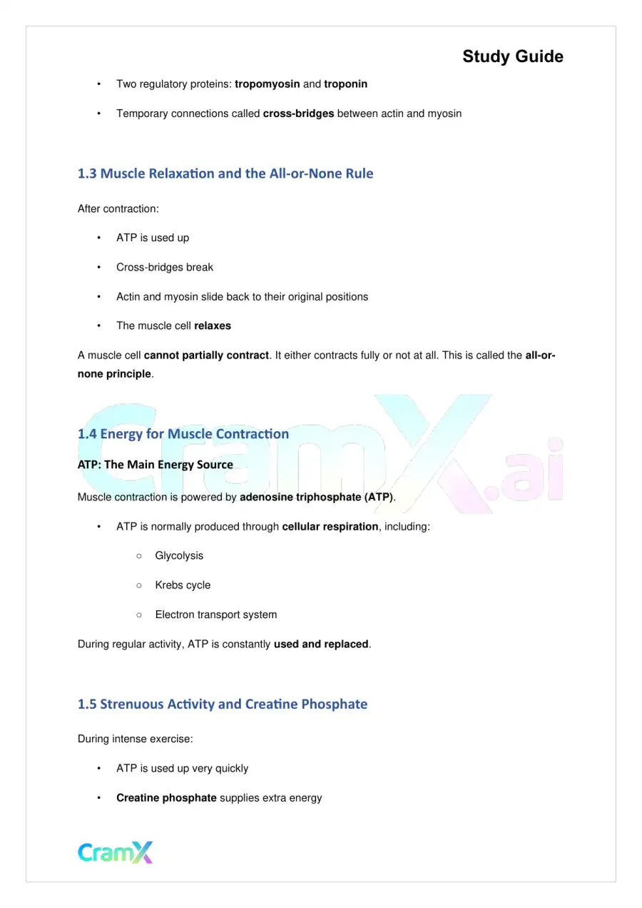 Biology - Support and Movement in Animals, page 3