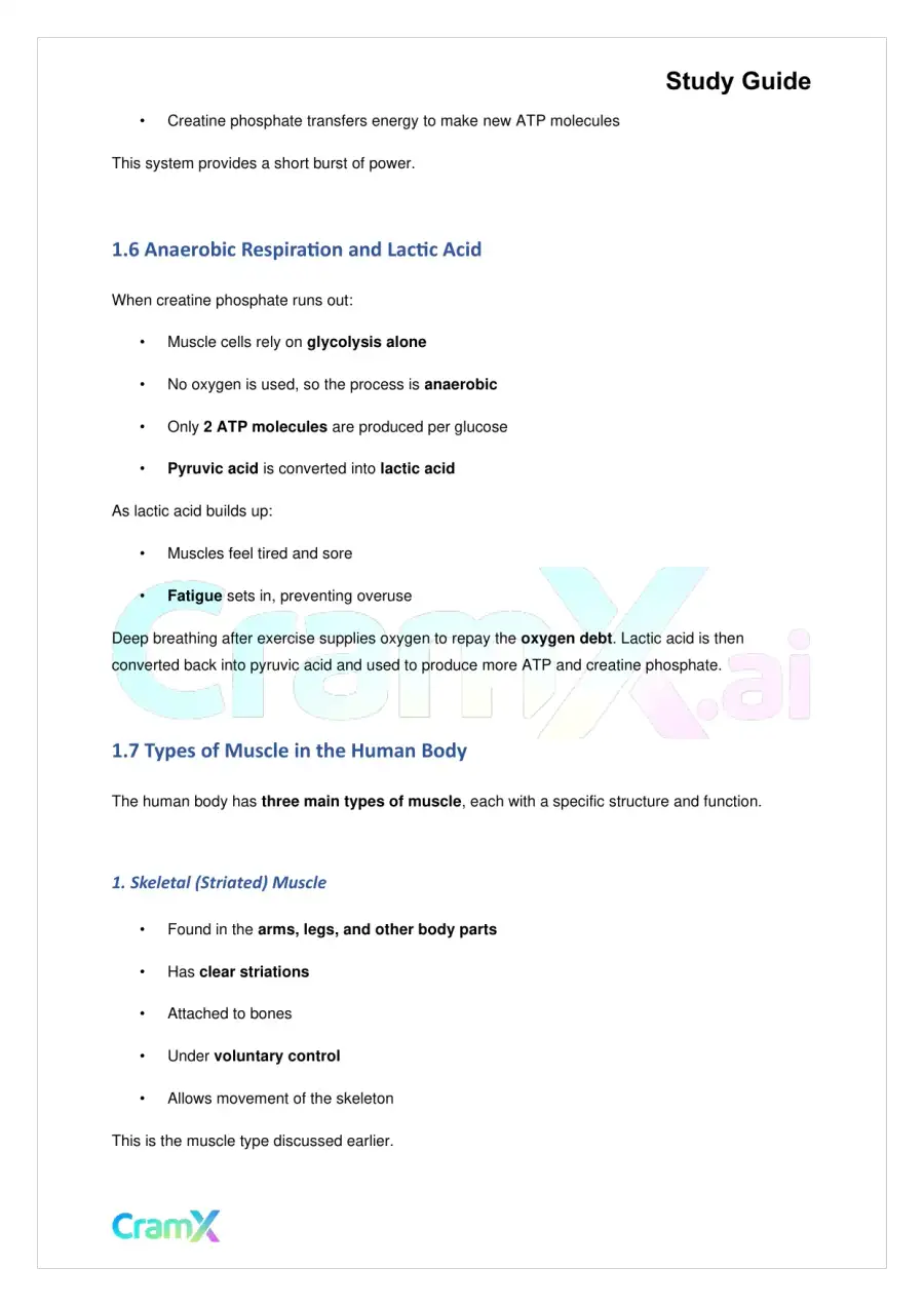 Biology - Support and Movement in Animals, page 4
