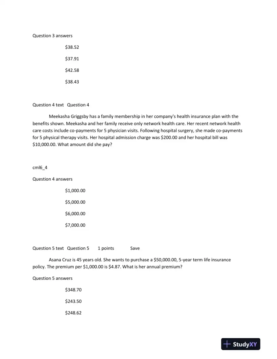 Financial Literacy and Insurance Calculation: An Applied Learning Assignment, page 3